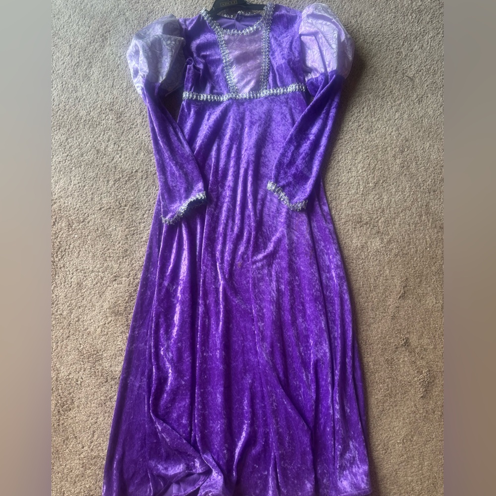 Renaissance / Witch Velvet Dress
